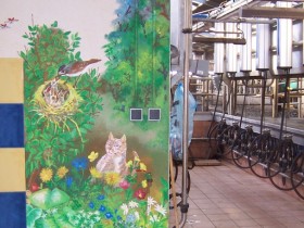 Peintures murales exterieures (6)